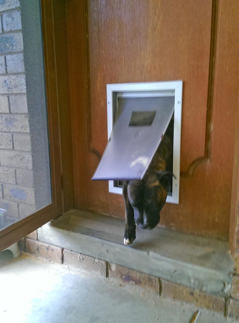 Pet Door Installation The Handyman Can Bendigo Property Maintenance