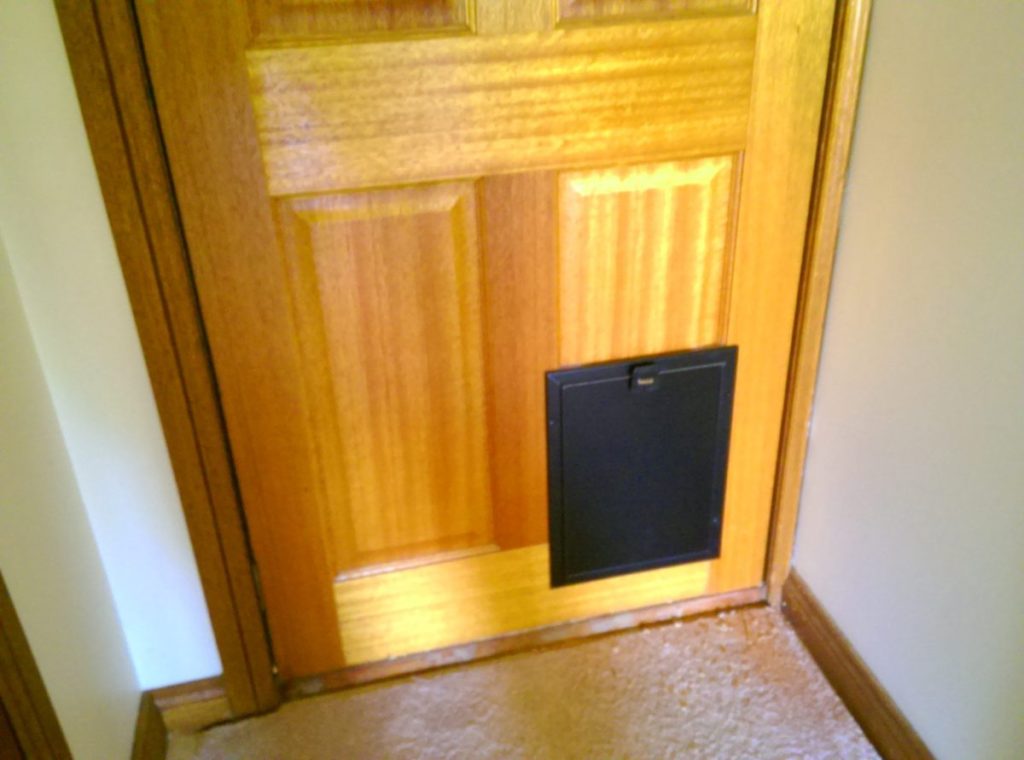 Pet Door Installation The Handyman Can Bendigo Property Maintenance