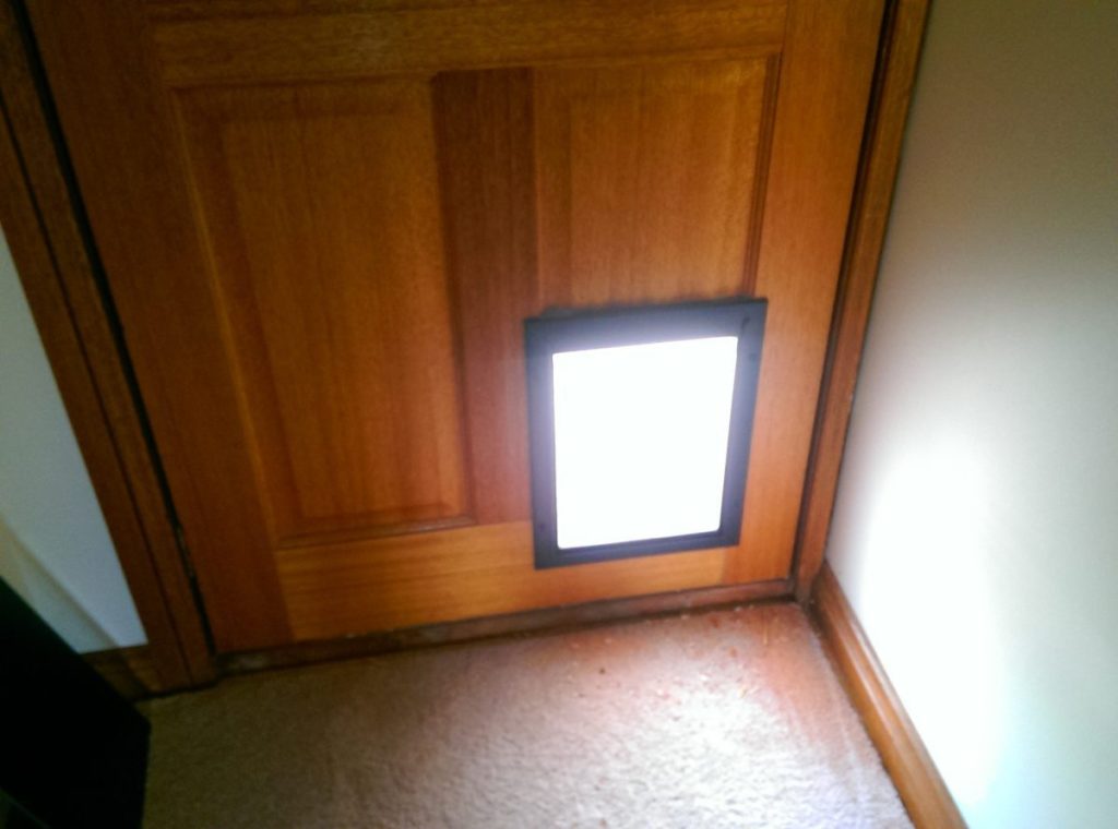 Pet Door Installation The Handyman Can Bendigo Property Maintenance