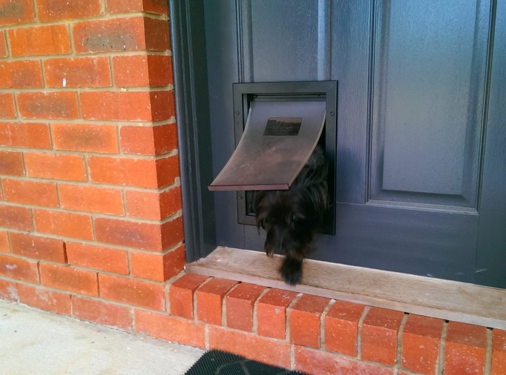 Pet Door Installation The Handyman Can Bendigo Property Maintenance