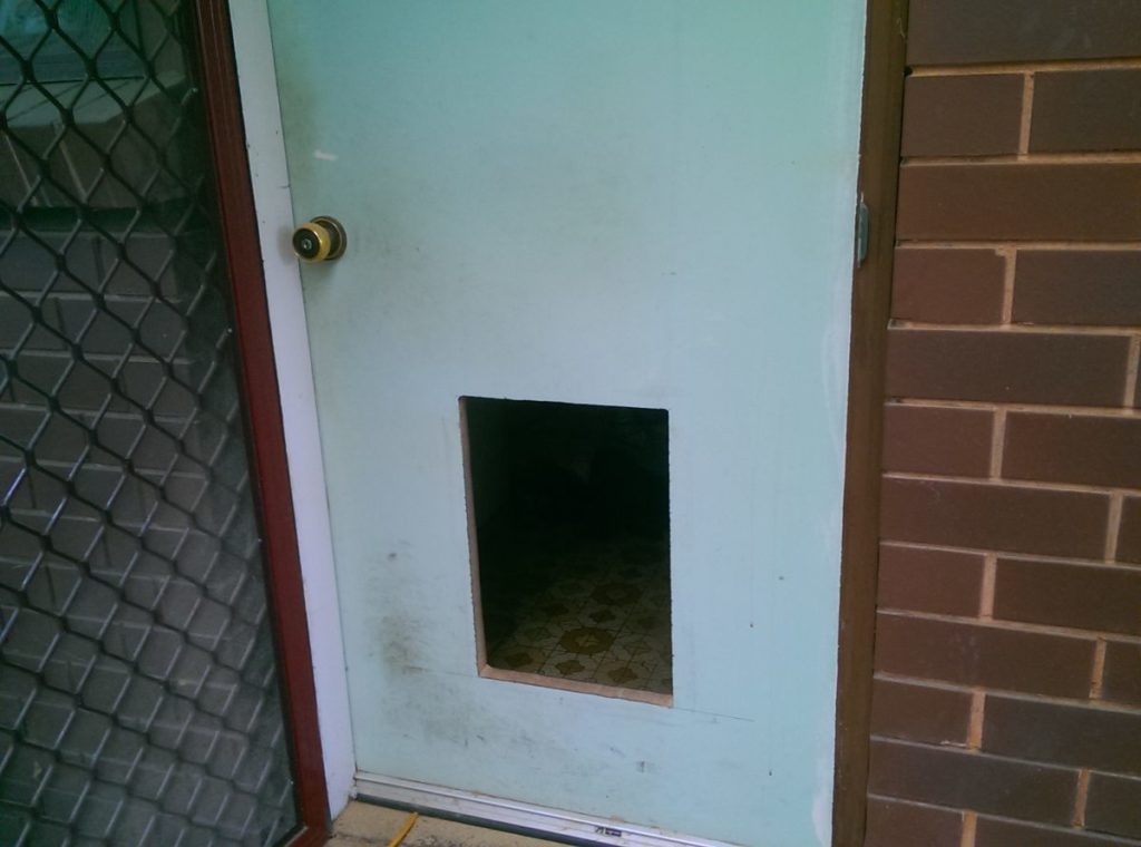 Pet Door Installation The Handyman Can Bendigo Property Maintenance