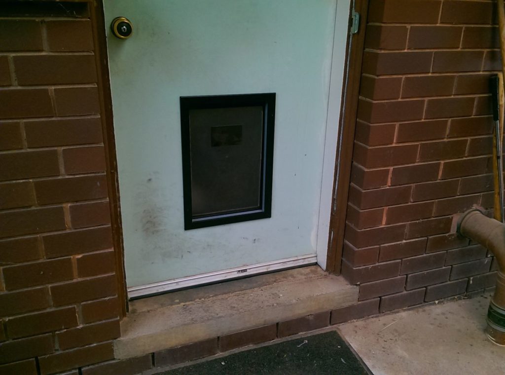 Pet Door Installation The Handyman Can Bendigo Property Maintenance