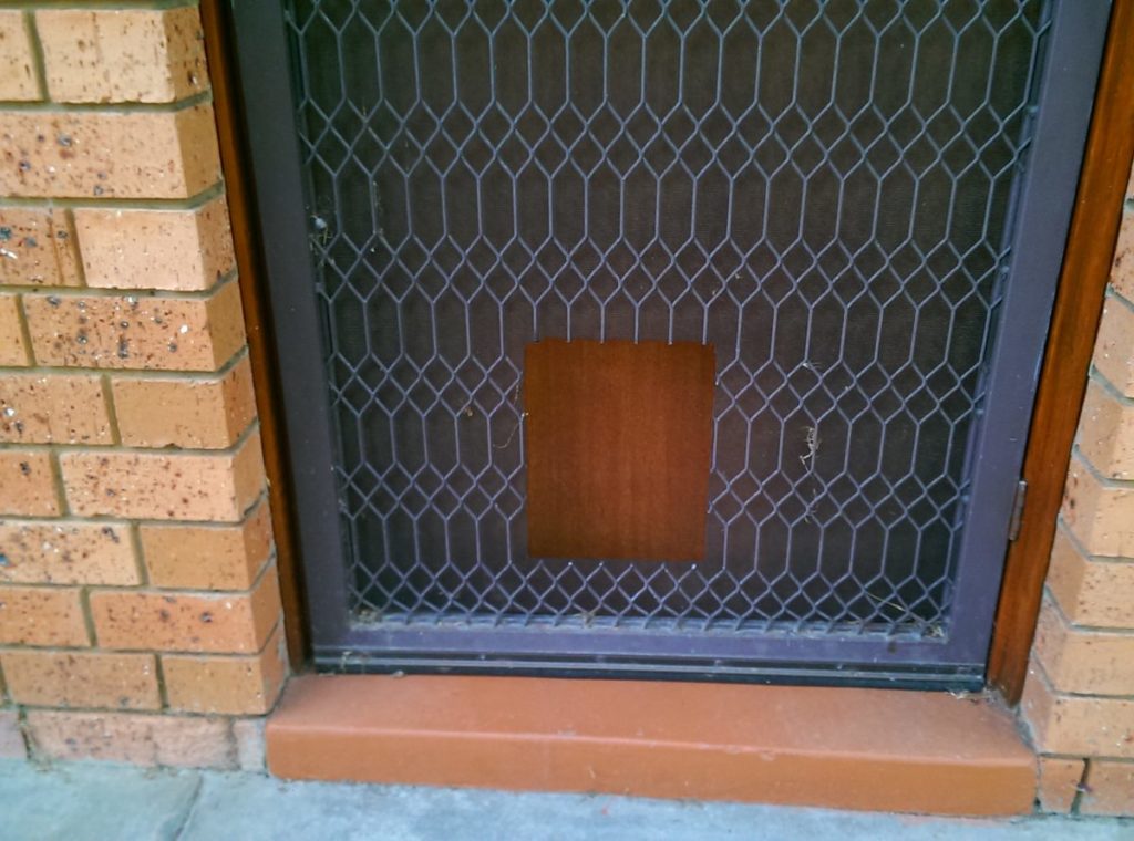 Pet Door Installation The Handyman Can Bendigo Property Maintenance