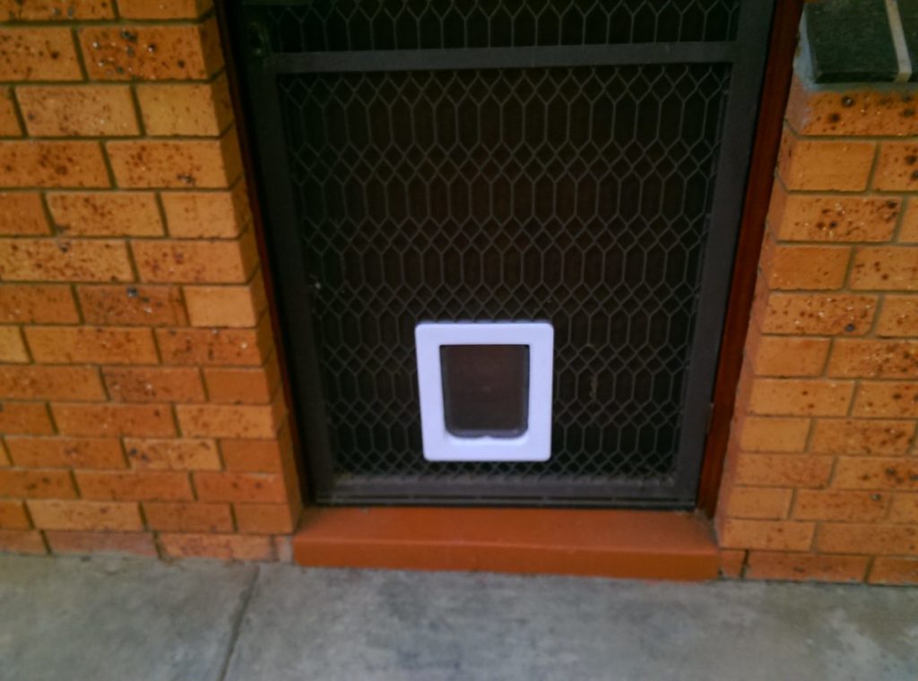 Pet Door Installation The Handyman Can Bendigo Property Maintenance