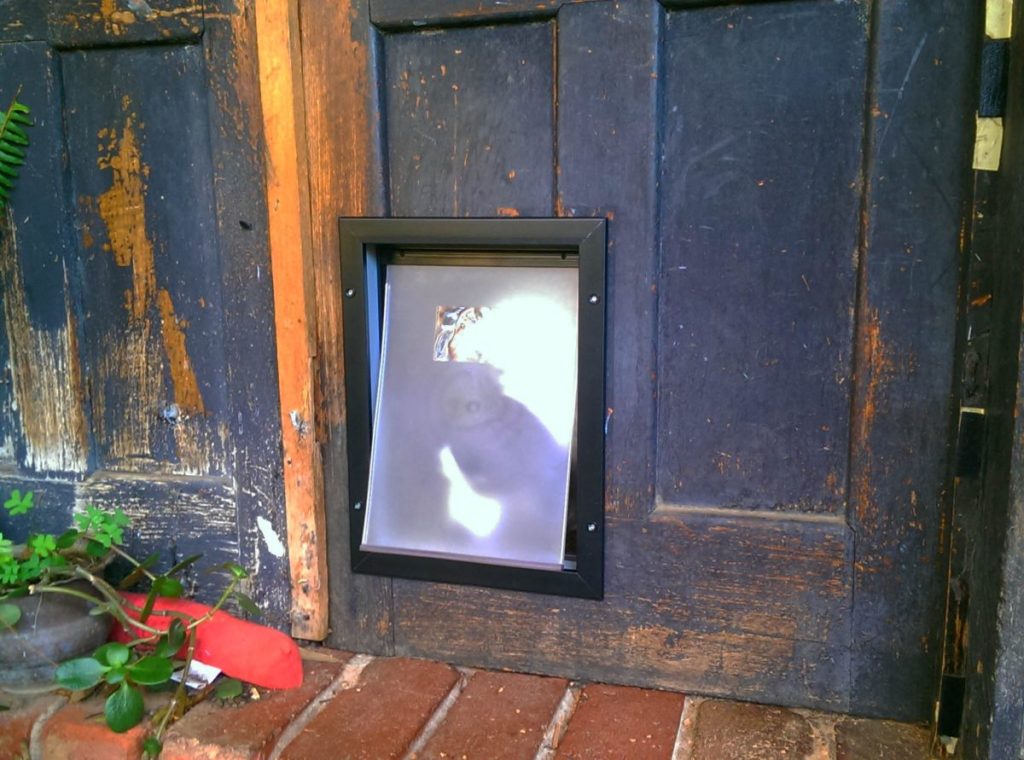 Pet Door Installation The Handyman Can Bendigo Property Maintenance