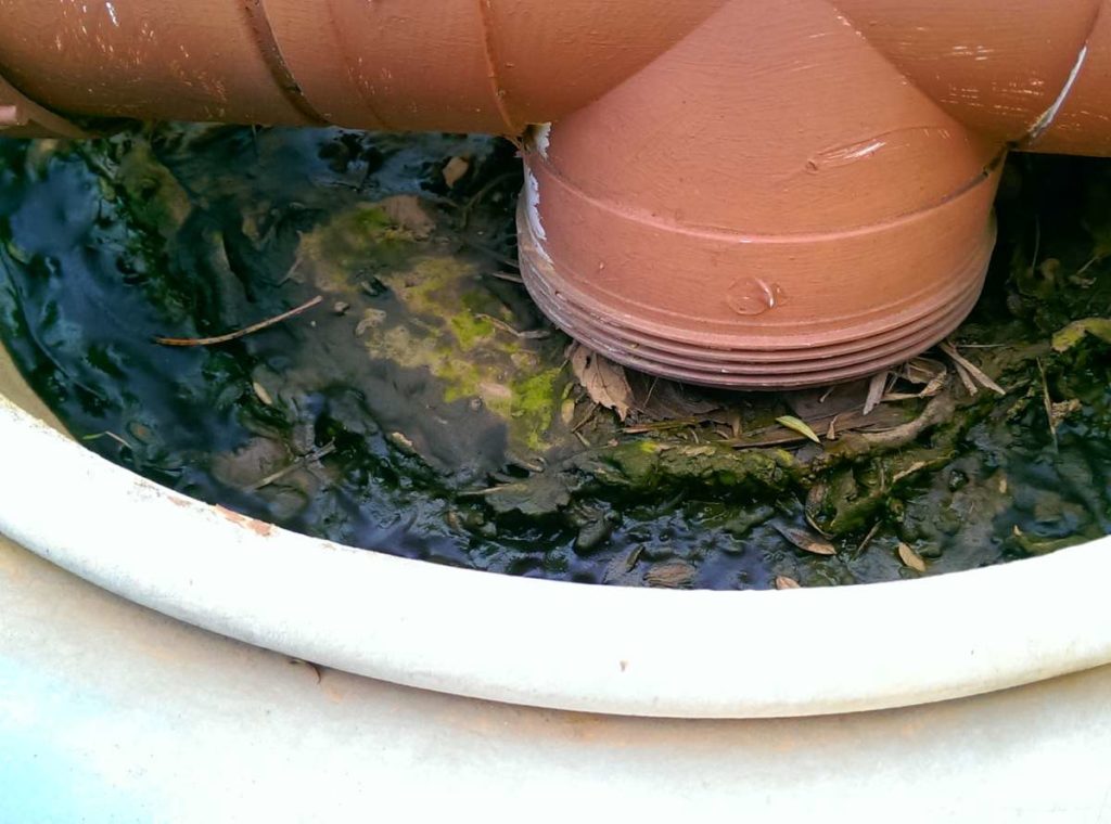 Bendigo Gutter Cleaning