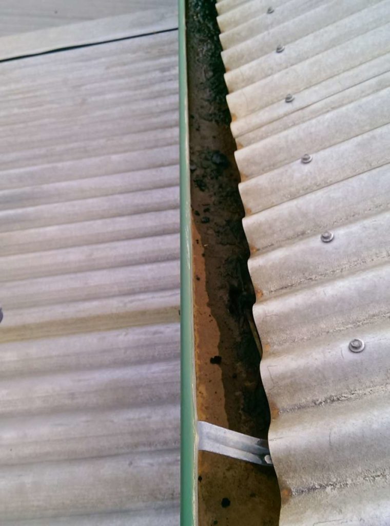 Bendigo Gutter Cleaning