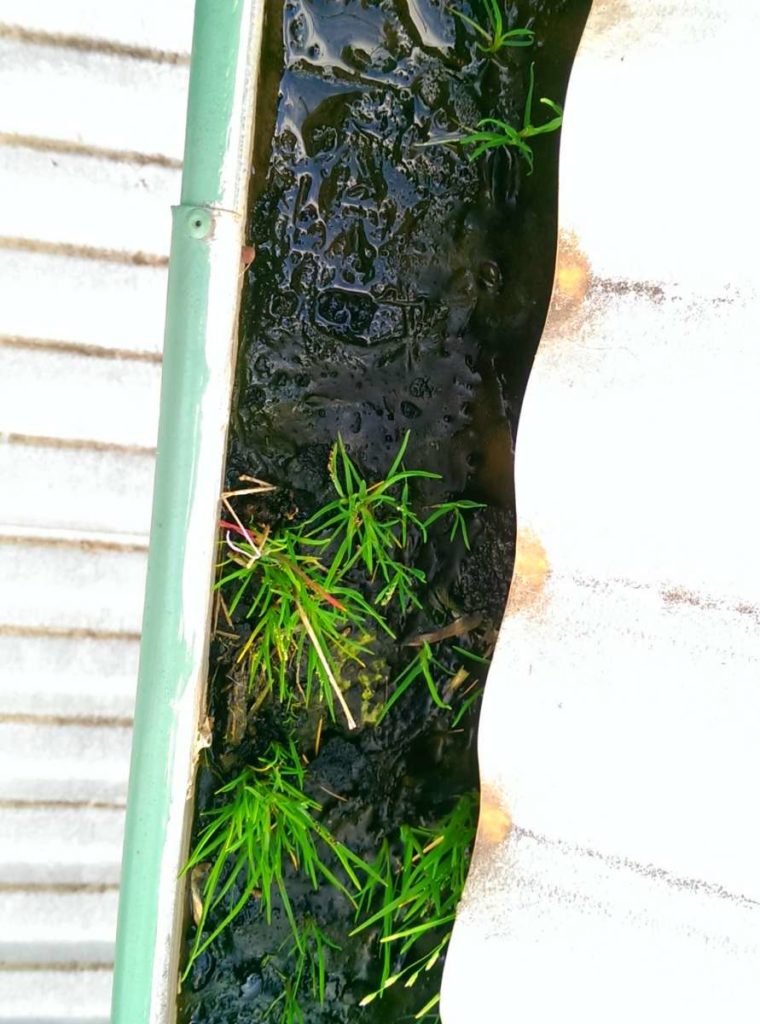 Bendigo Gutter Cleaning