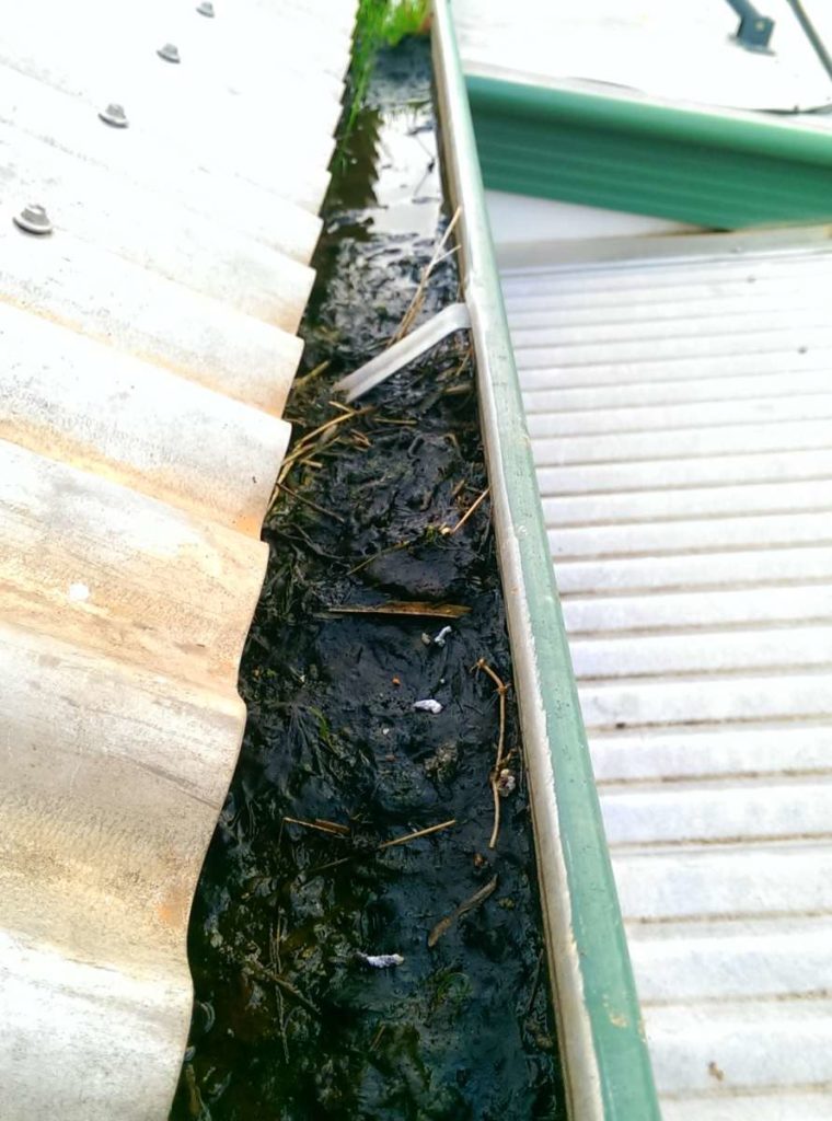 Bendigo Gutter Cleaning