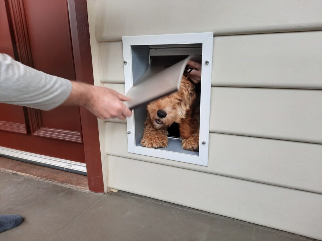 Pet Door Installation The Handyman Can Bendigo Property Maintenance